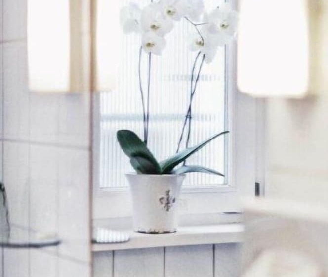 Отель Drei Lilien