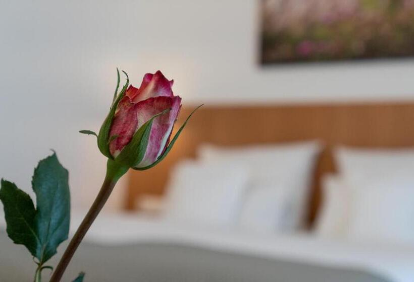 בית מלון כפרי Elysee