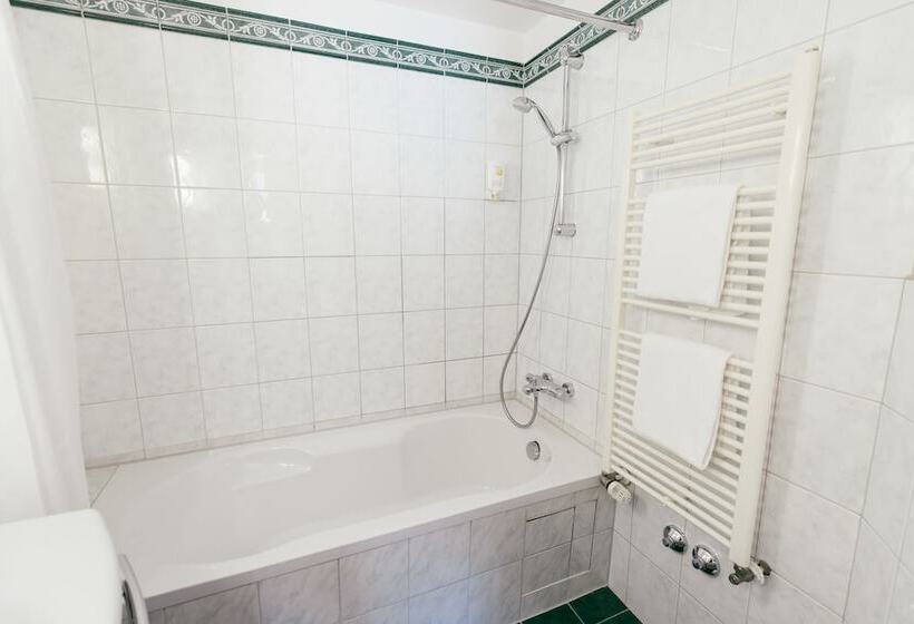 בית מלון כפרי Excelsior