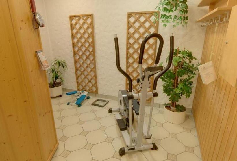 호텔 Garni Stadt Friedberg