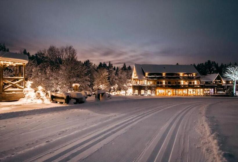 Отель Gruner Wald