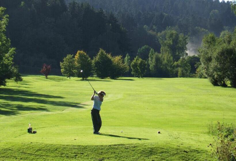 Отель Gruner Wald