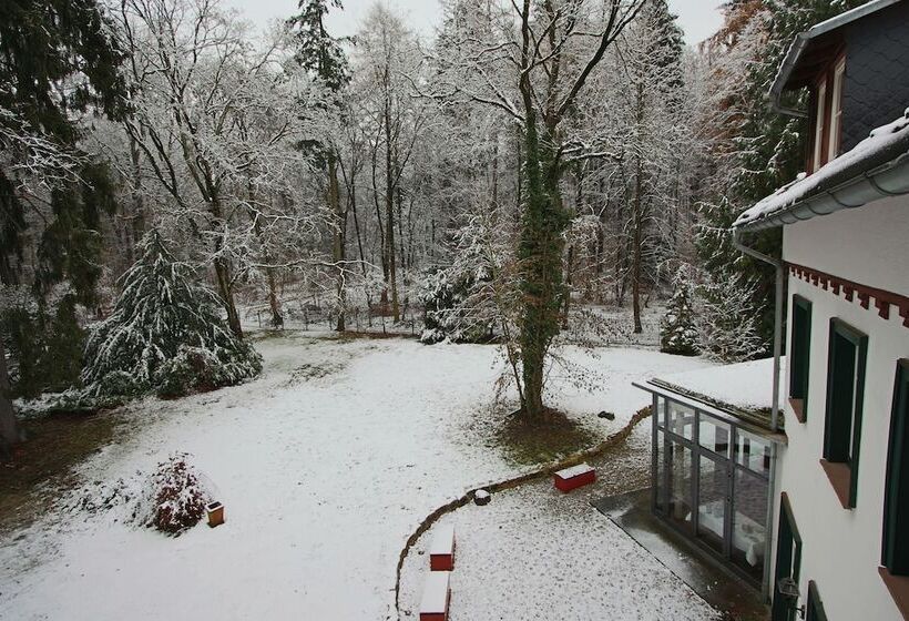 Отель Hardtwald