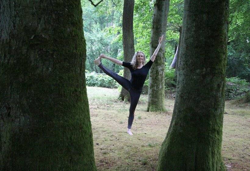 Отель Hardtwald