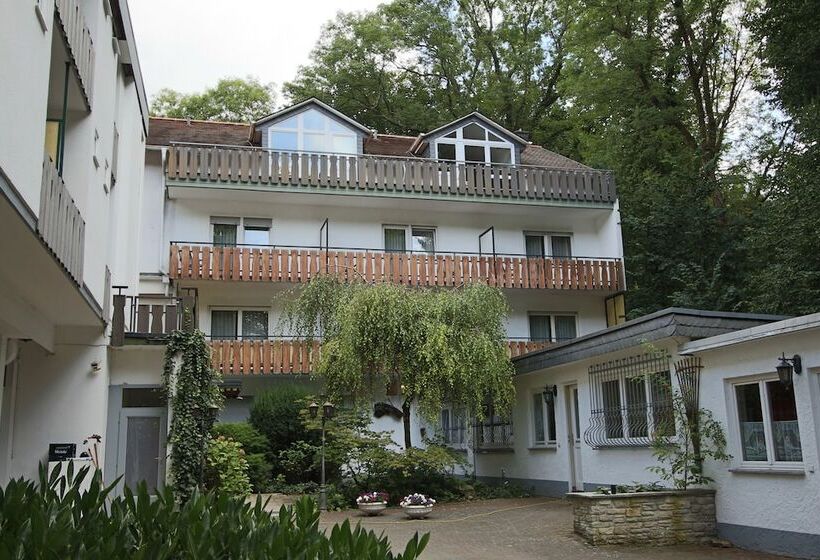 Отель Hardtwald