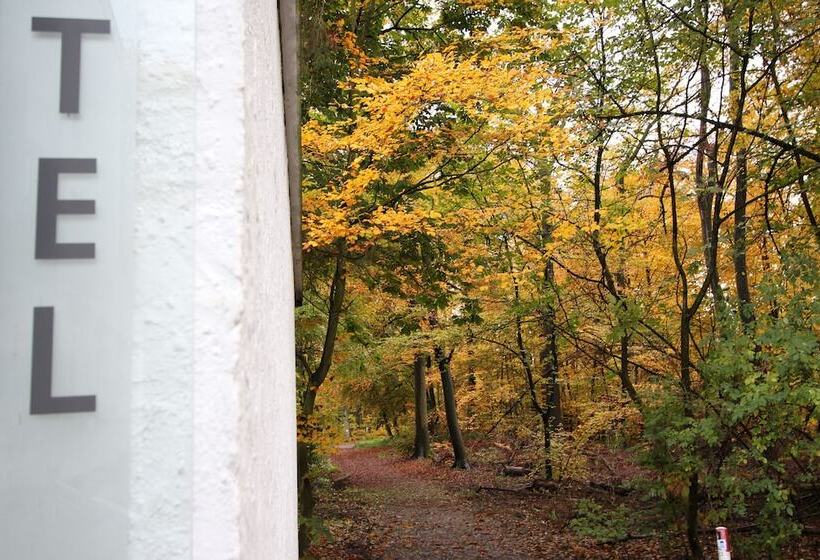 Отель Hardtwald