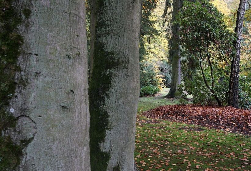 Отель Hardtwald