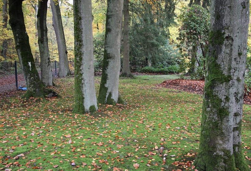 Отель Hardtwald