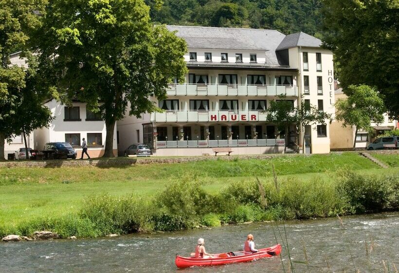 Отель Hauer