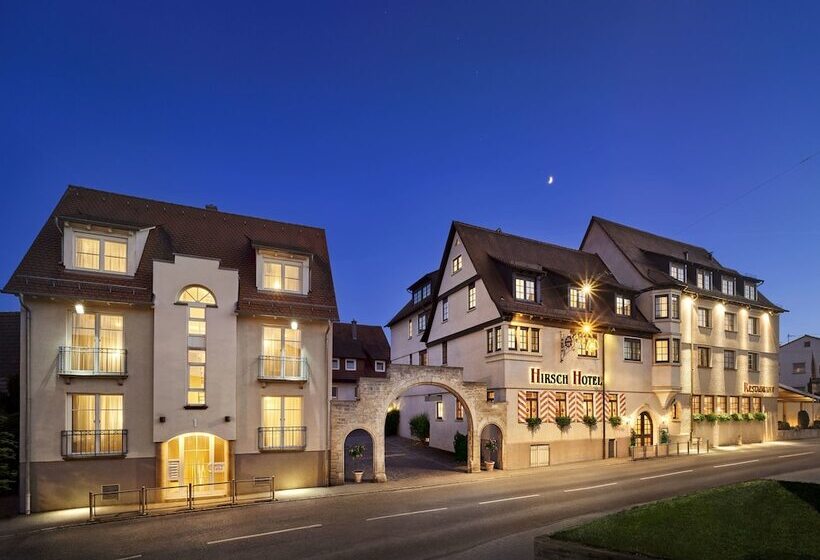 בית מלון כפרי Hirsch