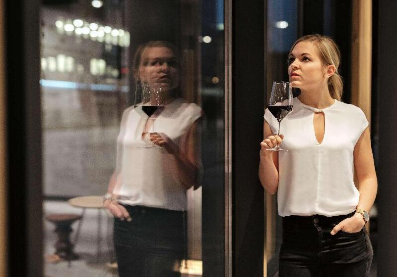 ホテル Ibis Frankfurt Centrum