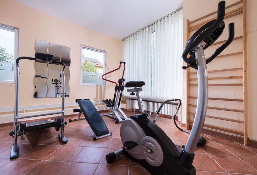 Отель Ibis Styles Offenburg City