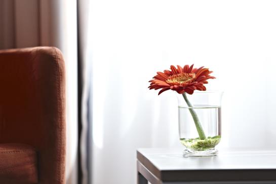 호텔 Intercity Stuttgart