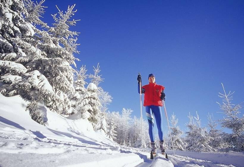 호텔 Jagdhaus Wiese