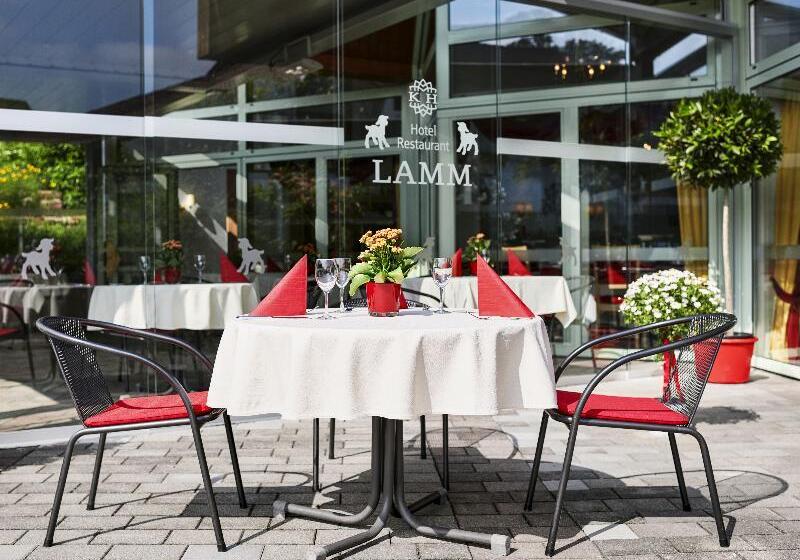 فندق Lamm