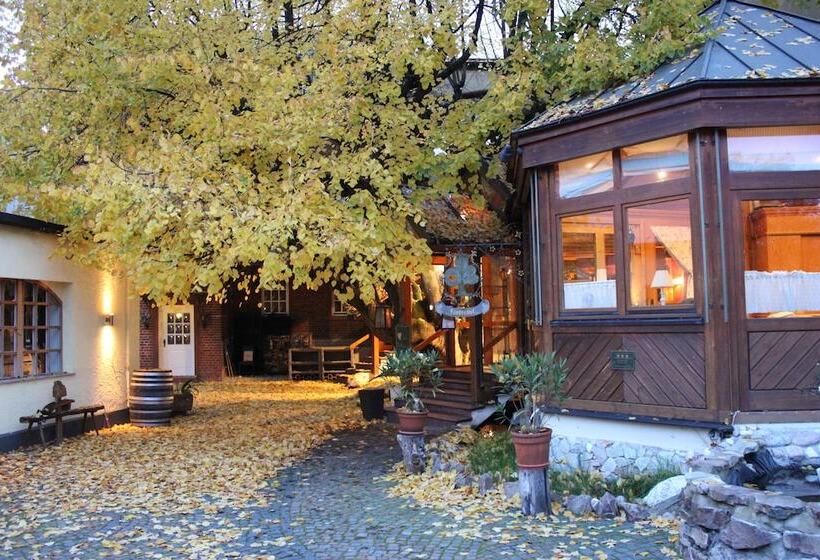 Отель Lindenhof