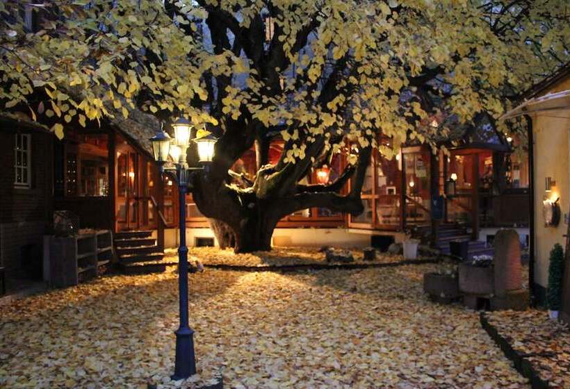 Отель Lindenhof