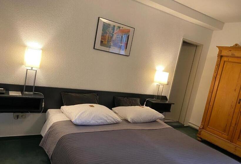 Отель Mainzer Hof