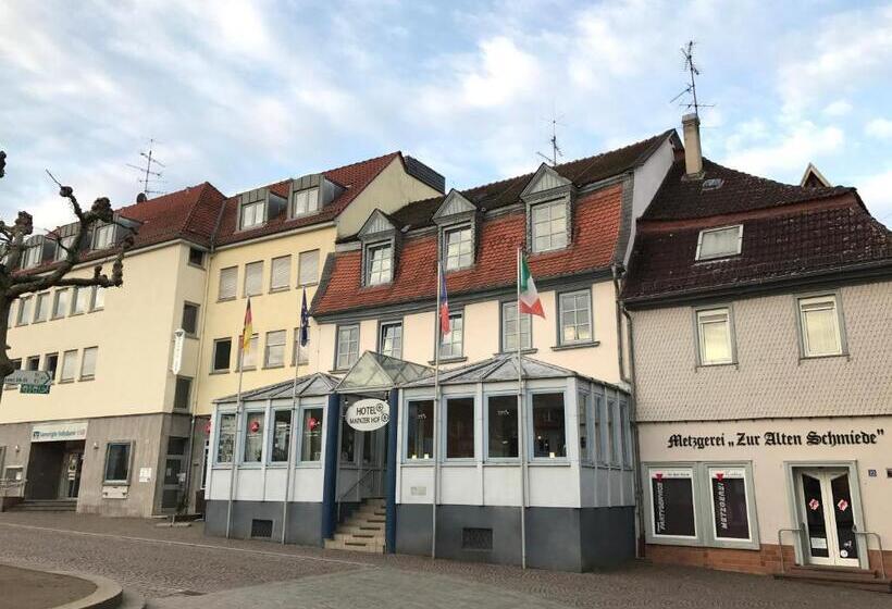Отель Mainzer Hof