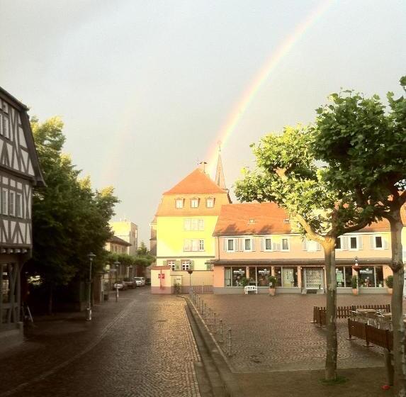 Отель Mainzer Hof