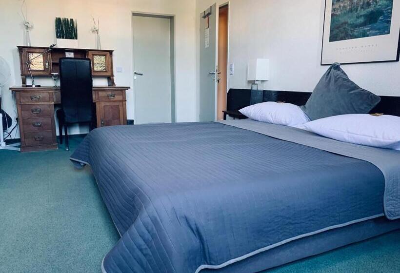 Отель Mainzer Hof