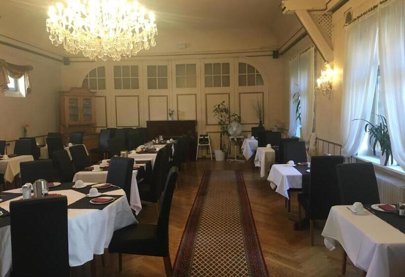 Отель Mainzer Hof