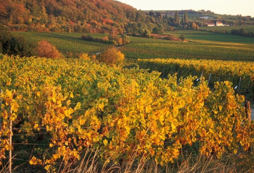 Mercure Hotel Bad Duerkheim An Den Salinen