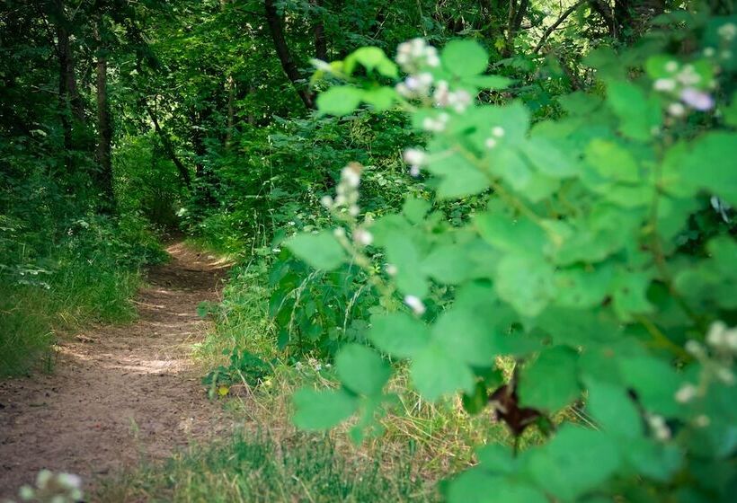 酒店 Odenwaldblick