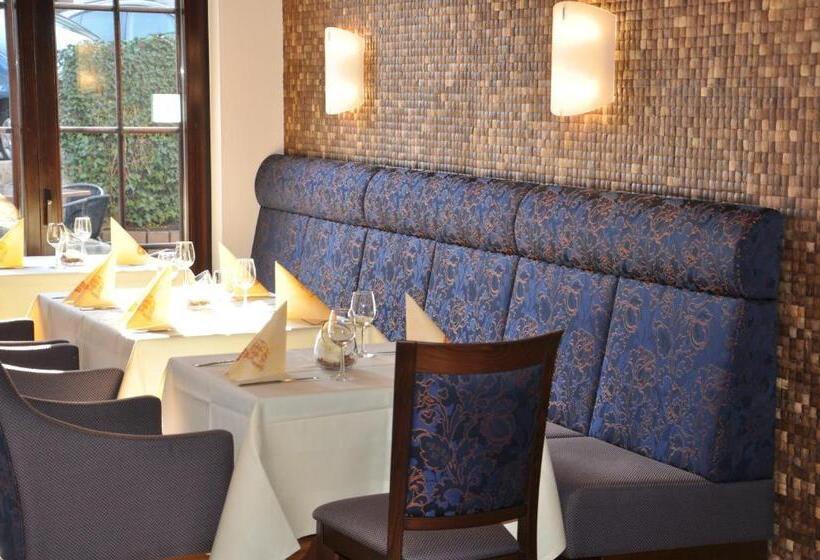 酒店 Restaurant Zum Schwan