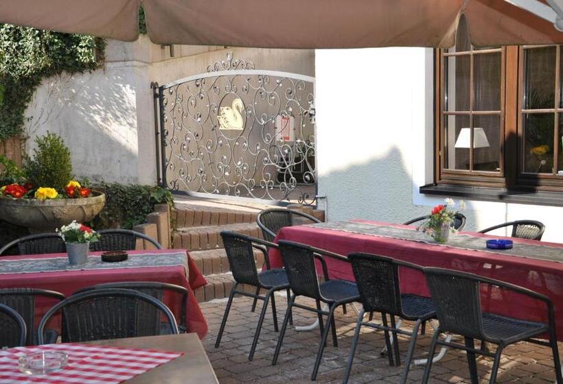 酒店 Restaurant Zum Schwan