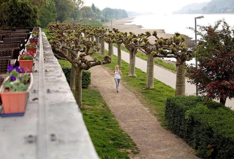 Rheinhotel Vier Jahreszeiten Bad Breisig