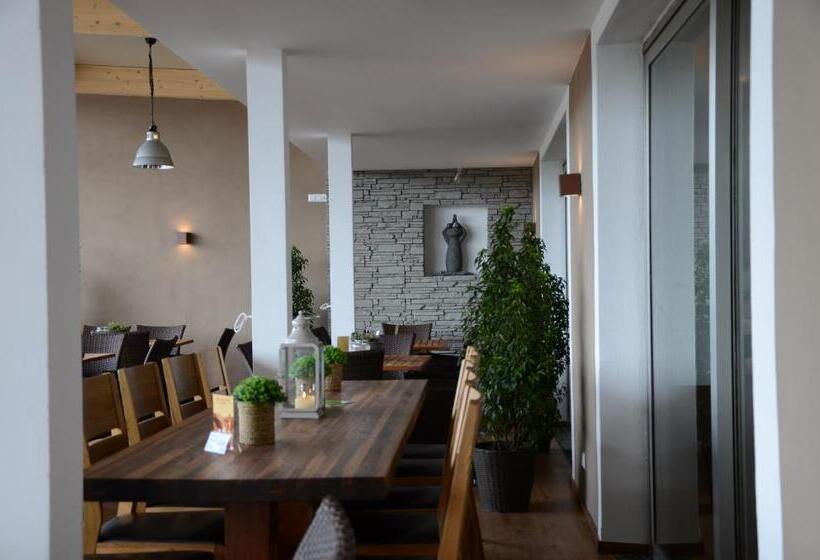 Отель Rheinstein