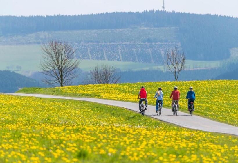 فندق Sauerland Alpin