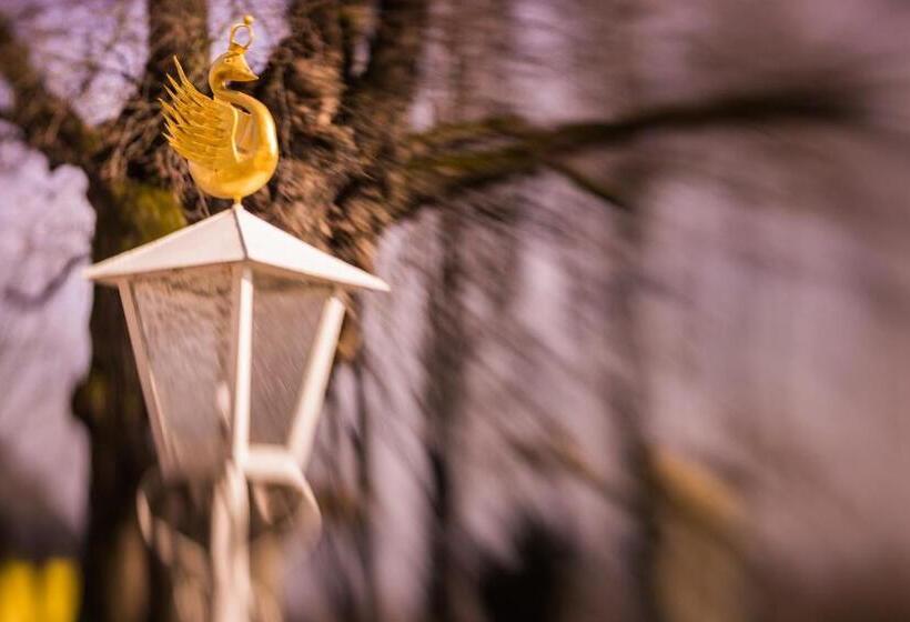 Отель Schwan Das Gästehaus Ilse