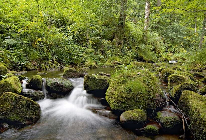 호텔 Traube Tonbach