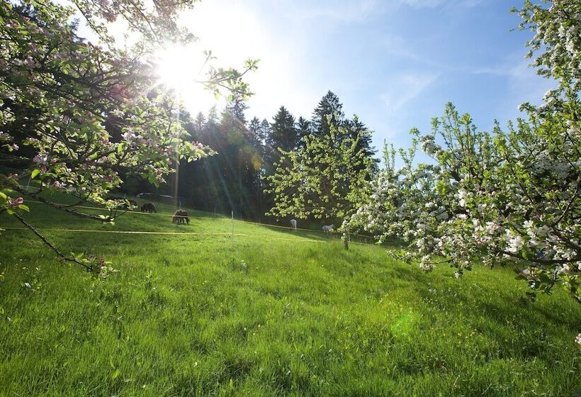 호텔 Traube Tonbach