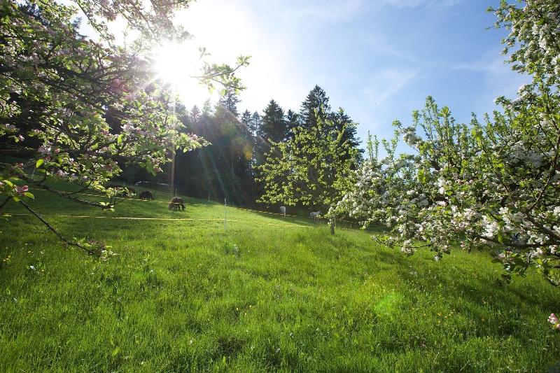 Отель Traube Tonbach