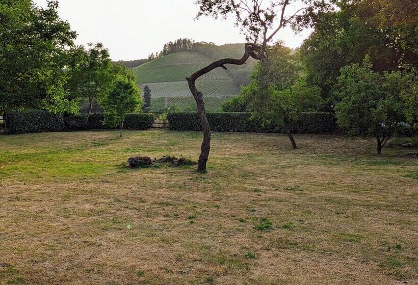 בית מלון כפרי Und Weingut Karlsmühle