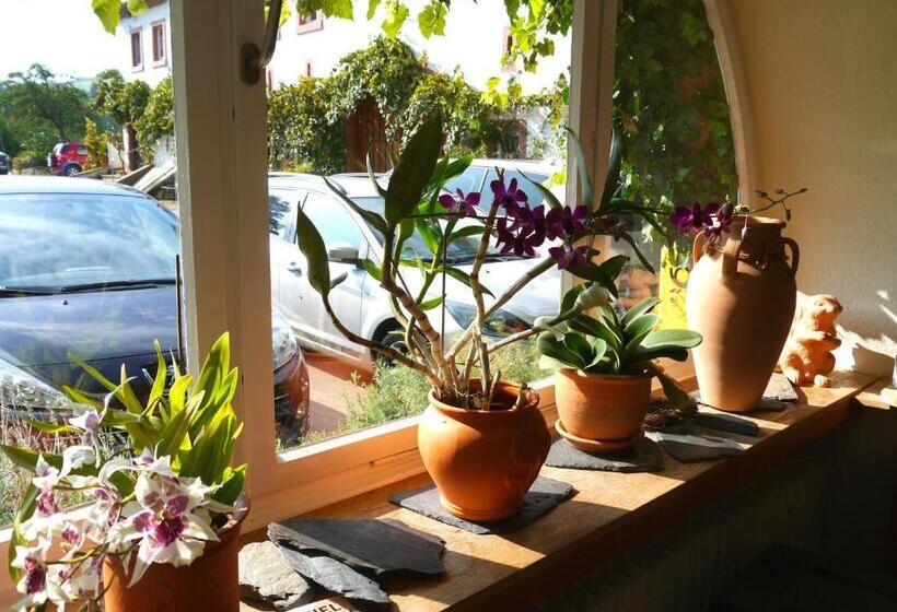 בית מלון כפרי Und Weingut Karlsmühle