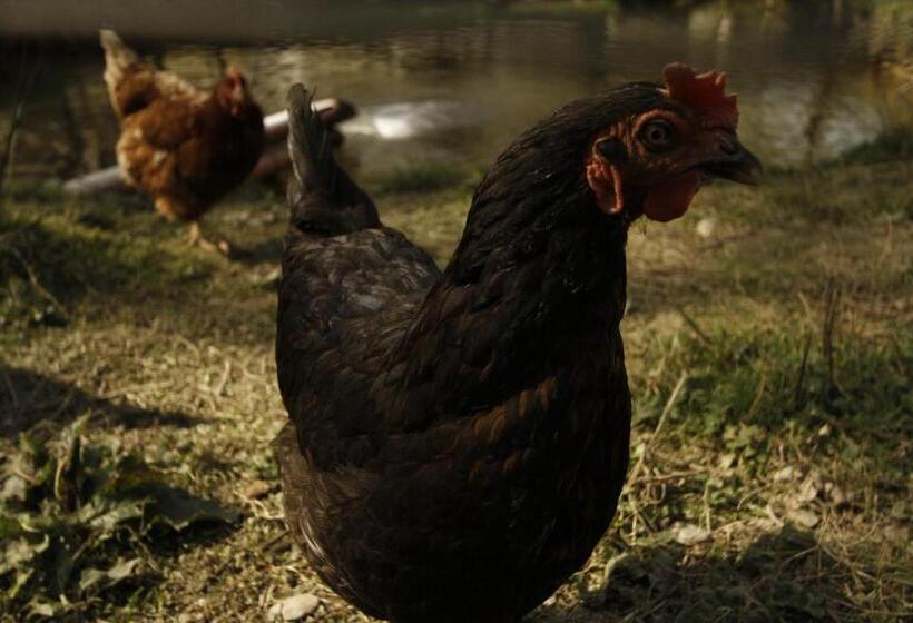 酒店 Und Weingut Karlsmühle