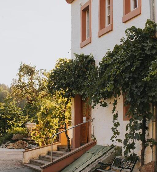 酒店 Und Weingut Karlsmühle