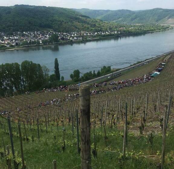 Отель Rhein Wagner