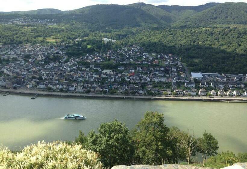 Отель Rhein Wagner