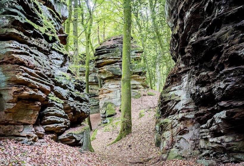 Waldhotel Sonnenberg