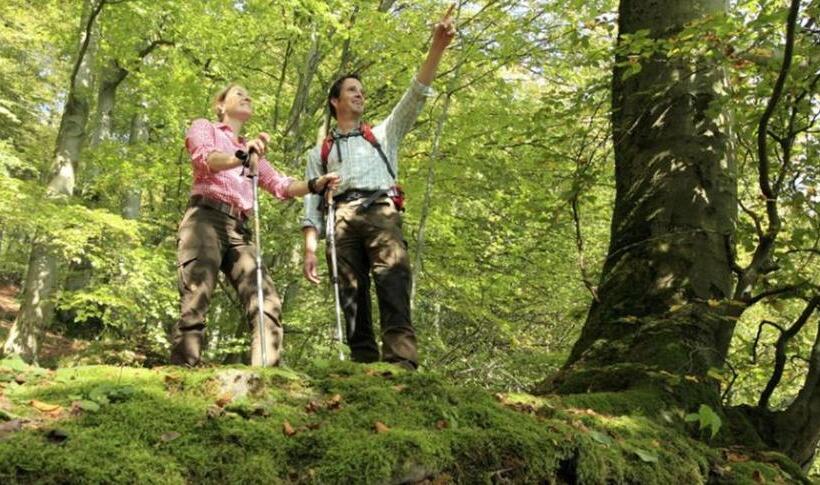 호텔 Waldhaus Ohlenbach