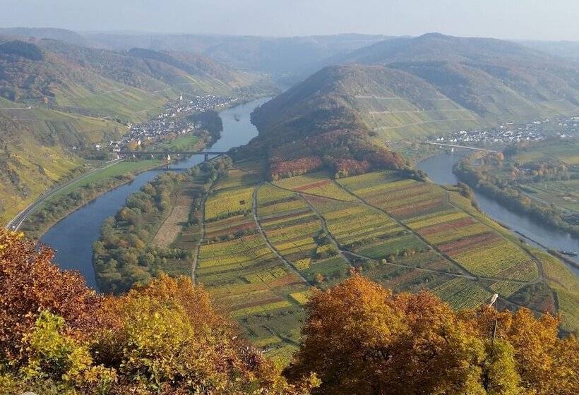 فندق Weinhaus Berg