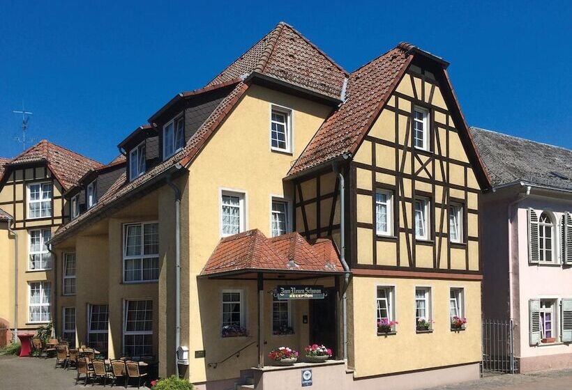 Отель Zum Neuen Schwan