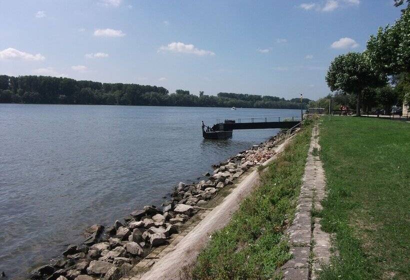 Отель Zum Neuen Schwan