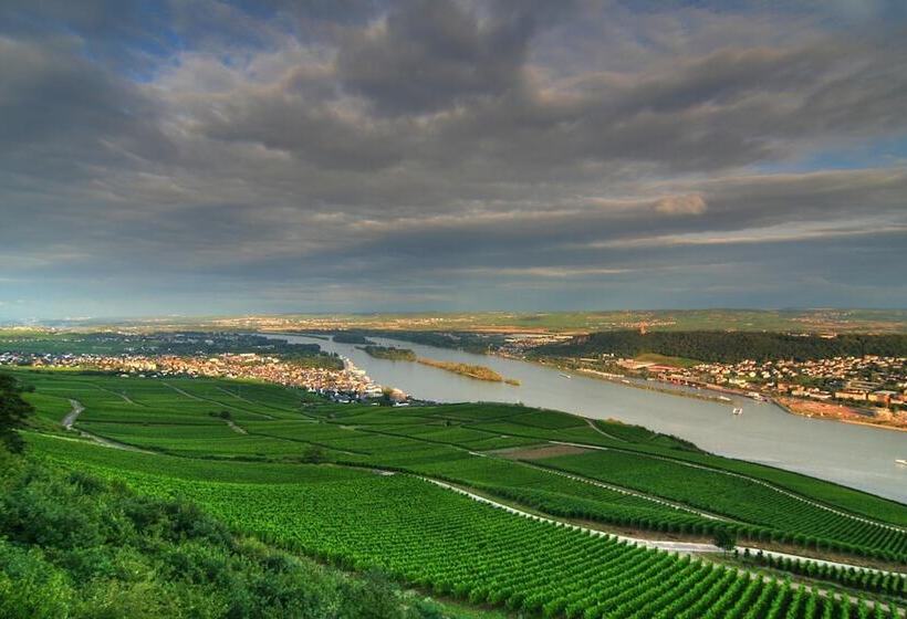 Отель Zum Neuen Schwan