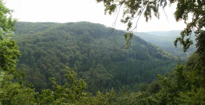 Landhotel Westerwald